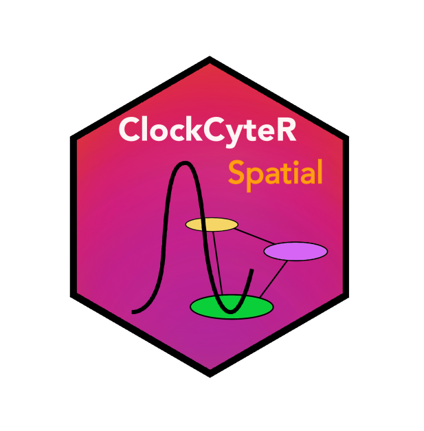 ClockCyteR.spatial